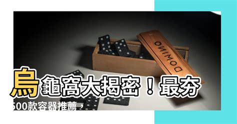 養烏龜容器|漁農自然護理署